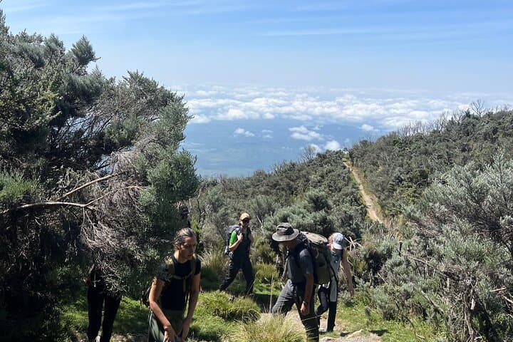 Sawda Mountains Hiking Trail — 8 km Hike to 3,000 m Juniper Forests near Abha photo 2