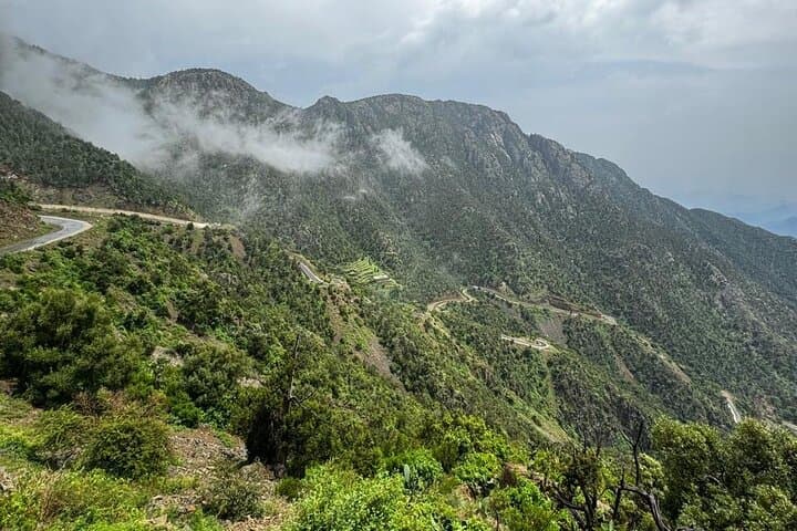 Sawda Mountains Hiking Trail — 8 km Hike to 3,000 m Juniper Forests near Abha photo 3