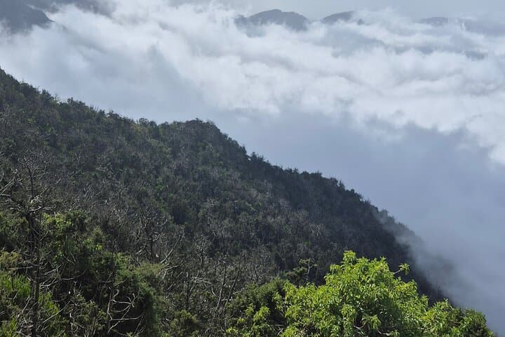 Sawda Mountains Hiking Trail — 8 km Hike to 3,000 m Juniper Forests near Abha photo 4