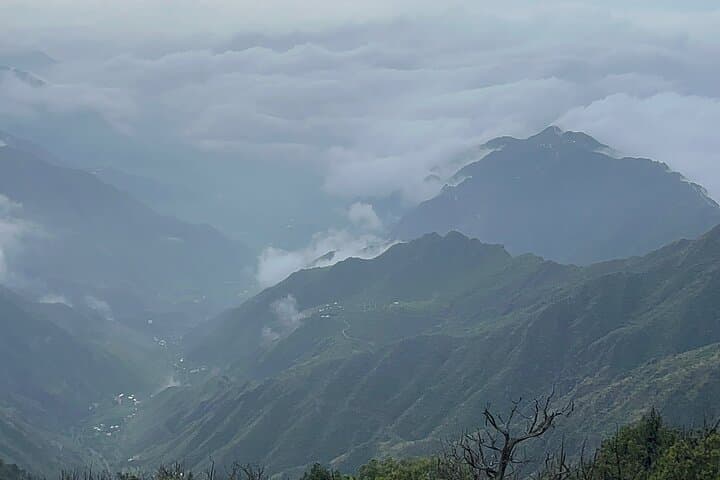 Sawda Mountains Hiking Trail — 8 km Hike to 3,000 m Juniper Forests near Abha photo 6