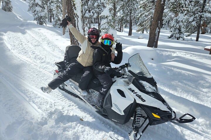 Snowmobiling the Sierra: Guided Day Trips from Reno to Lake Tahoe