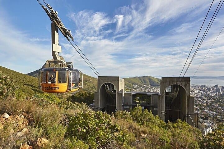 Cape Town in 3 Days: Nature, City & Winelands Private Tour