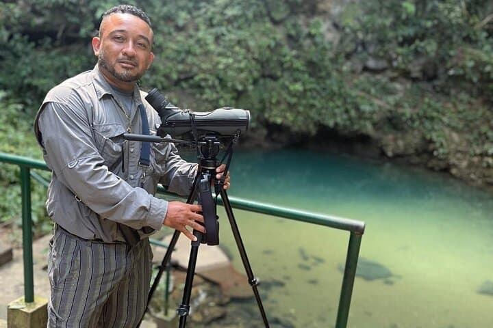 Half-Day Birding at Blue Hole National Park — St. Herman’s Blue Hole Tour photo 3