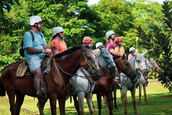 Horseback Riding to a Private Waterfall near Jacó, Costa Rica