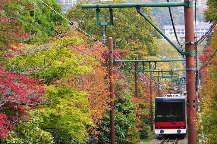 Hakone All-Inclusive Private Tour: Kimono, Ropeway, Owakudani & Hakone Shrine photo 4