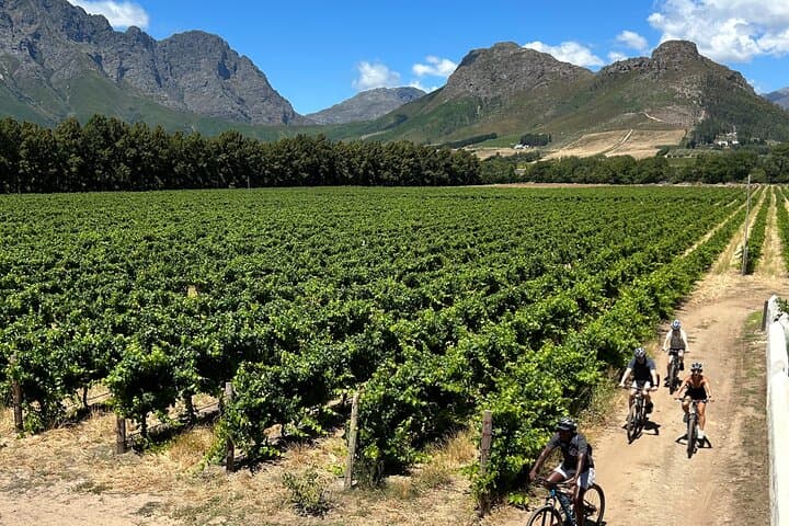 Franschhoek E‑Bike Wine Tour: Cycle Between Vineyards with Lunch photo 2