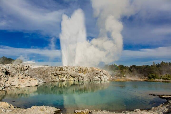 Rotorua Day Tour — Te Puia, Redwoods TreeWalk, Glowworms & Hells Gate Mud Baths