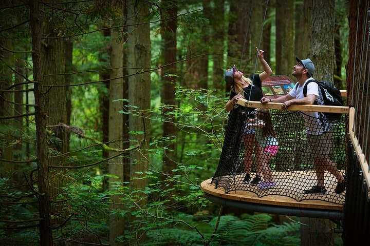 Rotorua Day Tour — Te Puia, Redwoods TreeWalk, Glowworms & Hells Gate Mud Baths photo 2