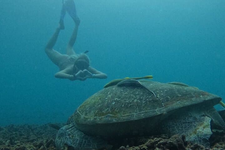 Semi-Private Snorkel & Sunset BBQ Around Koh Tao and Nang Yuan photo 2