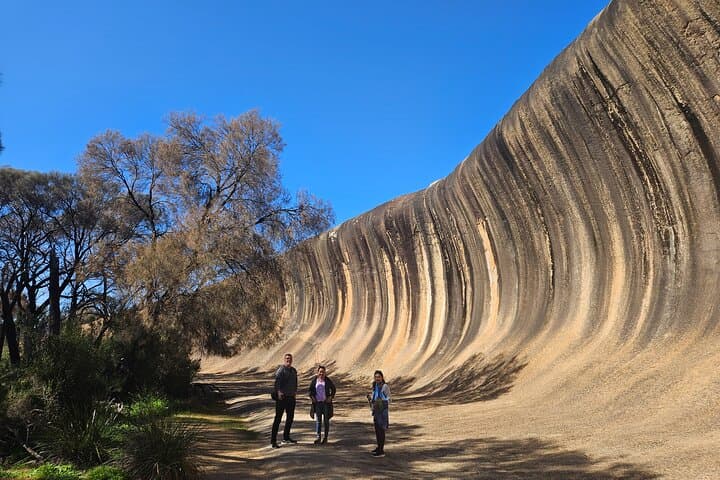 Wave Rock and Mulka's Cave Day Tour from Perth — Wildflowers, Rock Art & Outback BBQ