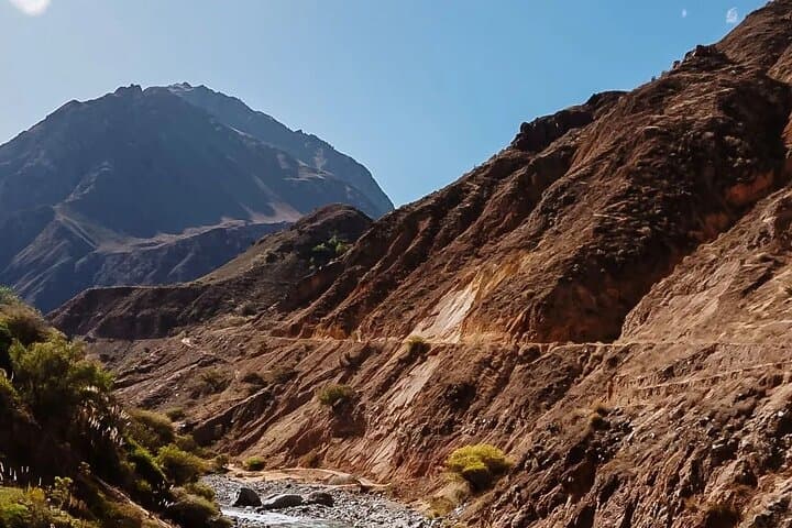Two-Day Colca Canyon Adventure from Puno: Condors, Hot Springs & High-Andean Views photo 3