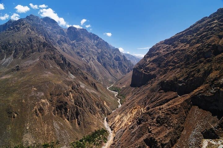 Colca Canyon 3-Day Trek from Arequipa to Puno: Condors, Oasis & Hot Springs photo 4