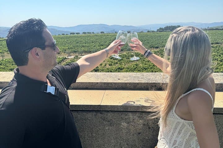 Private Douro Valley Day Tour: Two Wine Tastings & Rabelo Boat Ride from Porto