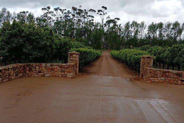 Private Wine Tasting Tour in Stellenbosch and Paarl — Cape Winelands Day Trip photo 4