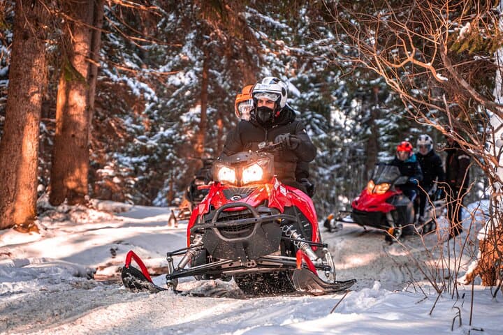 Zakopane Snowmobile Tour — 3-Hour Tatra Ride with Bonfire and Meal photo 2