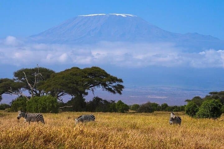 4-Day Amboseli and Tsavo Safari from Nairobi — Big Five Game Drives & Comfortable Lodges photo 3