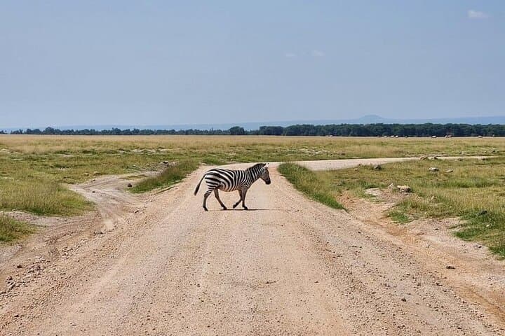 4-Day Amboseli and Tsavo Safari from Nairobi — Big Five Game Drives & Comfortable Lodges photo 4