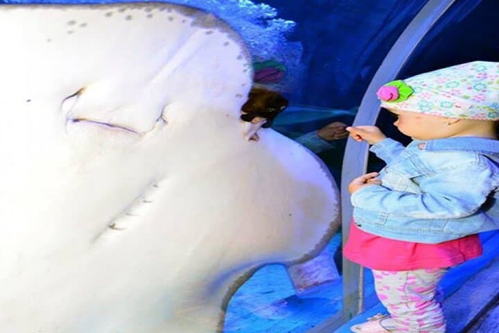 Hurghada Grand Aquarium Guided Tour — Touch Tank, Mini Zoo & Rainforest Walk (2–3 hrs)