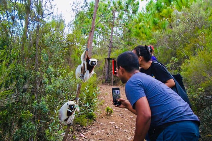 Mantasoa Lake & Nosy Soa Day Tour from Antananarivo — Lemurs, Reptiles & Boat Ride