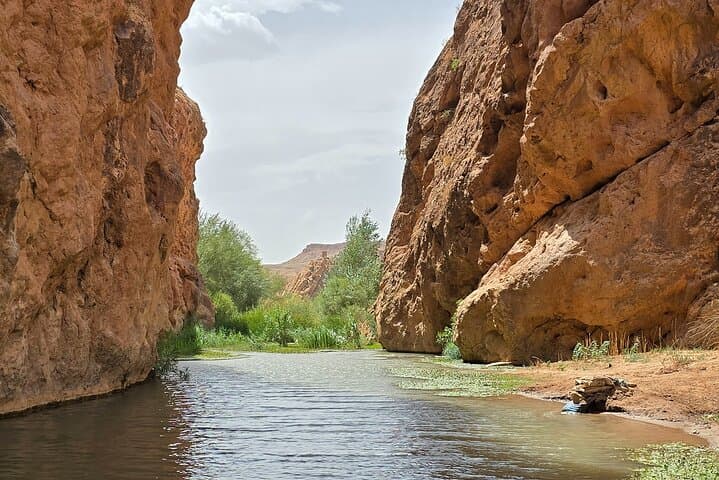 Dades Gorge & Monkey Finger Canyon Hike: Guided 7–10 km Cultural Trek from Boumalne Dades photo 5