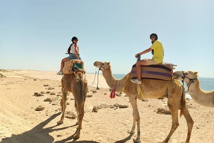 Dakhla Camel Ride: Sand Dunes and Turquoise Lagoon Adventure