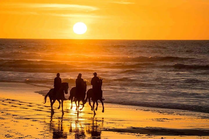 Essaouira Beach Horse Ride: Atlantic Dunes Gallop and Sunset Views photo 1