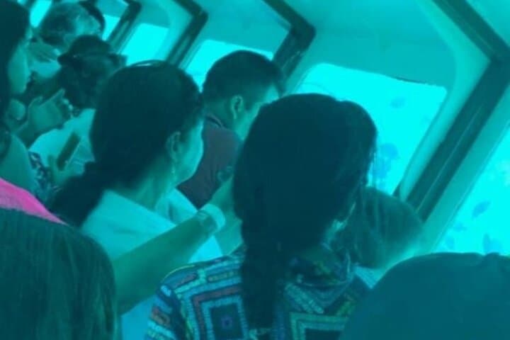Glass-Bottom Semi-Submarine Tour — San Andrés Underwater Wildlife Viewing photo 4