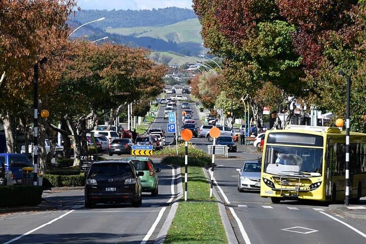 Middle Earth Private Tour from Tauranga — Hobbiton Guided Tour & Working Sheep Farm Visit photo 3