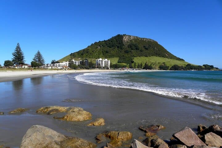 Whakarewarewa Geothermal & Māori Cultural Private Tour from Tauranga photo 3