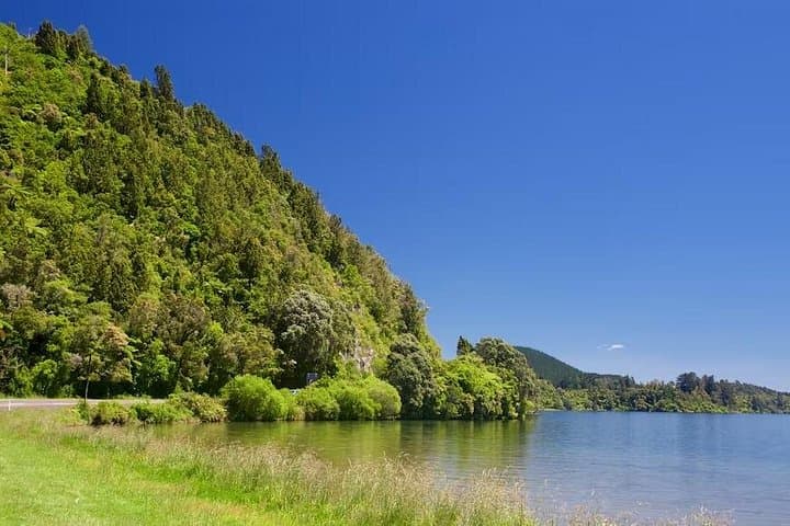 Whakarewarewa Geothermal & Māori Cultural Private Tour from Tauranga photo 4