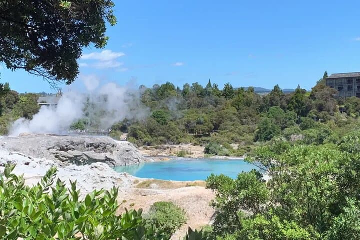 Whakarewarewa Geothermal & Māori Cultural Private Tour from Tauranga photo 1