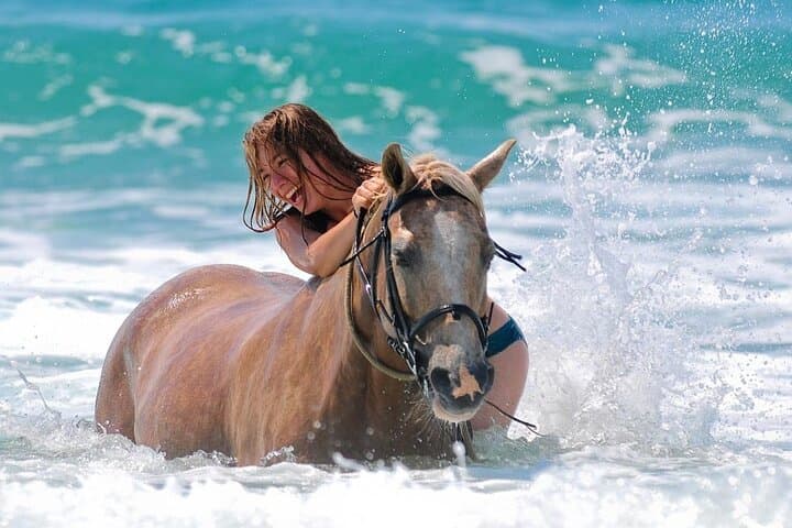 Swim with Horses in Hurghada: Red Sea Horseback Ride & Beach Gallop