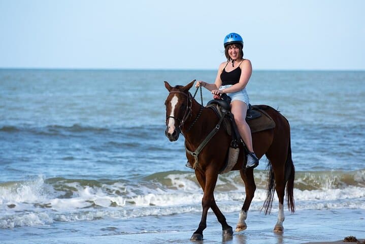 Swim with Horses in Hurghada: Red Sea Horseback Ride & Beach Gallop photo 4