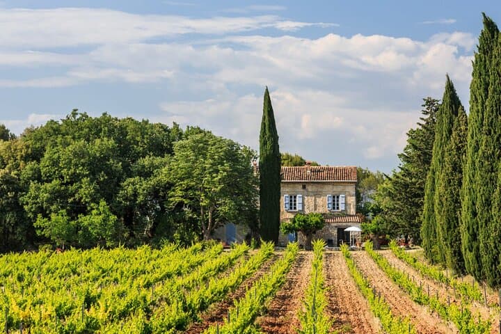 Provence Coastal Escape: Lavandou, Bormes-les-Mimosas & Côtes de Provence Wine Tasting photo 3