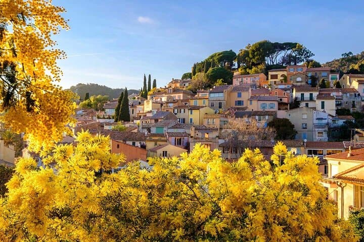 Provence Coastal Escape: Lavandou, Bormes-les-Mimosas & Côtes de Provence Wine Tasting photo 4