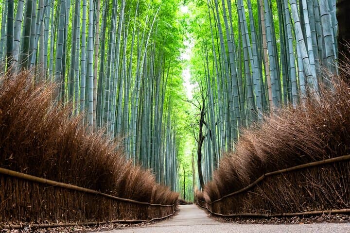 Private Kyoto Car Tour: Fushimi Inari, Kiyomizu & Kinkakuji in One Day photo 5