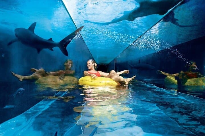 Private Transfer from Dubai Hotels to Aquaventure & Lost Chambers at Atlantis photo 4