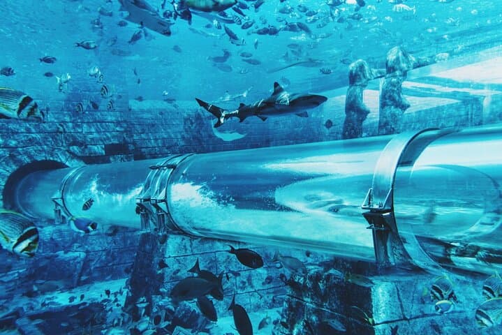 Private Transfer from Dubai Hotels to Aquaventure & Lost Chambers at Atlantis photo 5