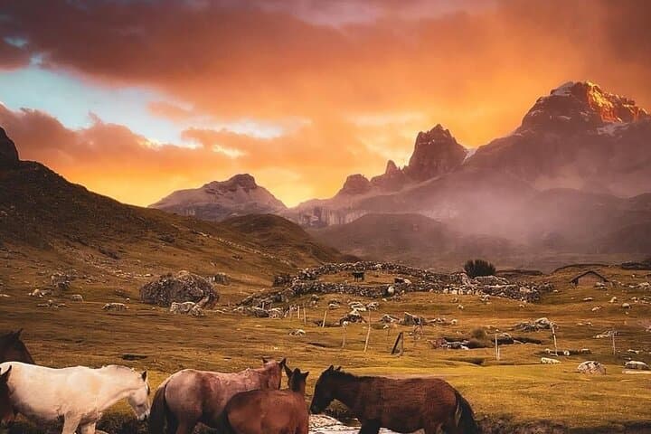 Huayhuash Trek 5 Days — Huaraz to Carhuacocha and Siula Pass photo 2