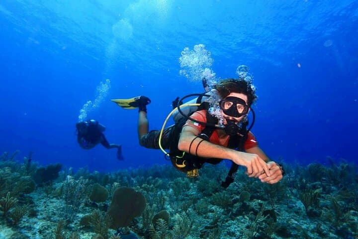 Discover Scuba Diving at Casa Cenote, Tulum — Beginner-Friendly Cenote Dive photo 5