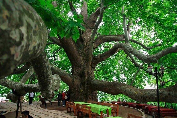 Bursa Green Day Trip from Istanbul — Cable Car to Uludağ & Historic Koza Han photo 5