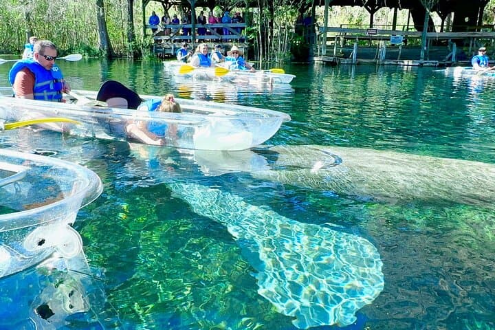 Sassy’s Silver Springs Kayak and Paddleboard Tours — Paddle the Crystal Silver River with Manatees photo 1