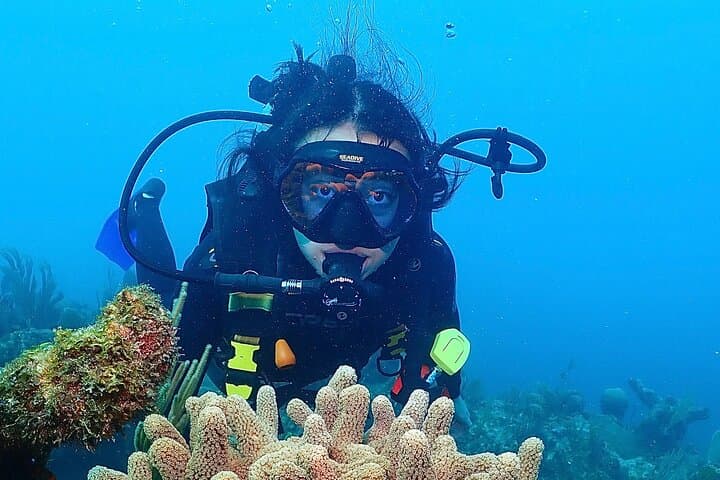 Tulum Two-Tank Reef Dive: Explore the Mesoamerican Reef from Tulum Beach photo 4