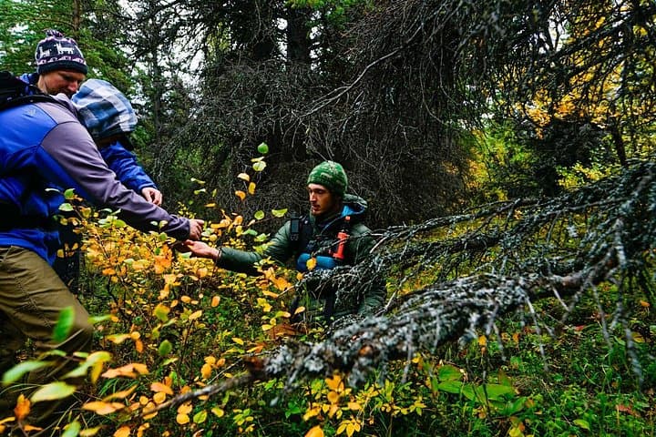 Denali Primitive Survival Workshop: 4-Hour Off-Trail Skills Near Denali National Park photo 5