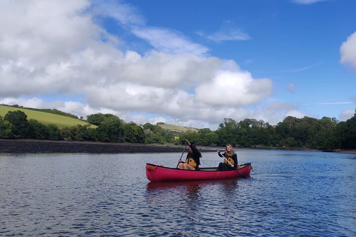 Paddle the Dart: Guided Canoe Tour from Totnes photo 2