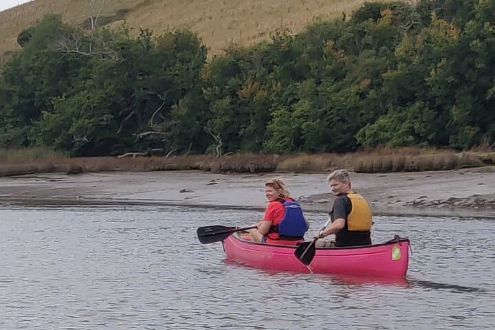 Paddle the Dart: Guided Canoe Tour from Totnes photo 4
