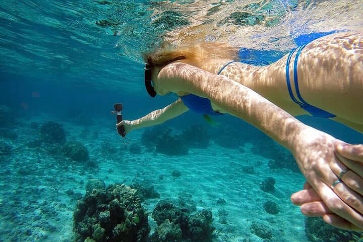 Private Half-Day Ras Mohamed Snorkel: Magic Lake & Allah’s Garden photo 3