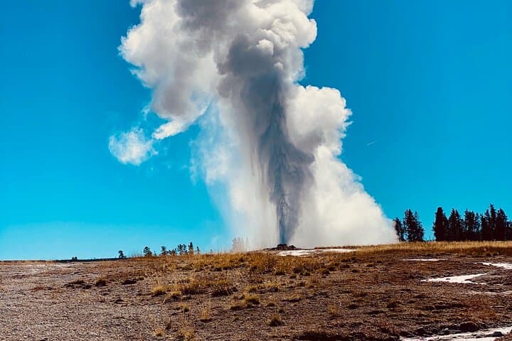 Private Lower Loop Tour of Yellowstone National Park: Old Faithful, Grand Prismatic & Yellowstone Lake