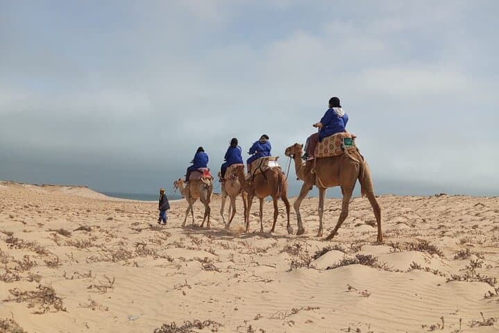Dakhla Camel Ride: Sand Dunes and Turquoise Lagoon Adventure photo 2