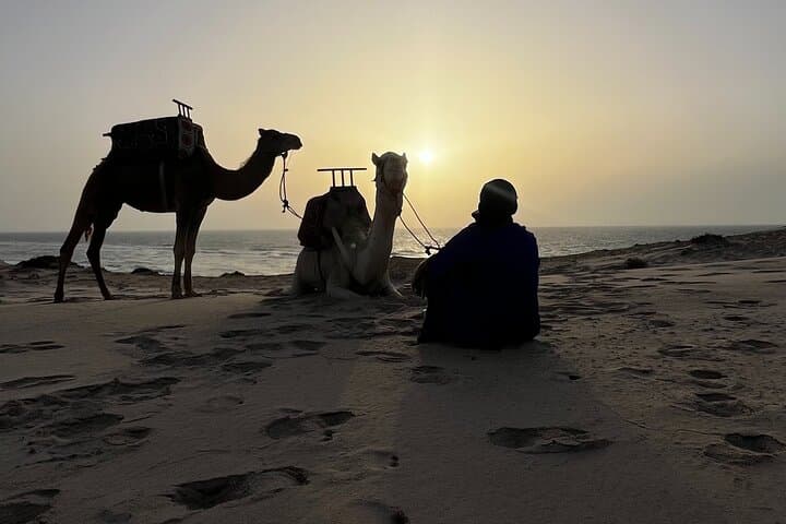 Dakhla Camel Ride: Sand Dunes and Turquoise Lagoon Adventure photo 4